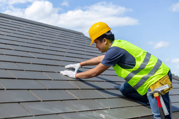 Roof Gutter Cleaning in Vauxhall, NJ