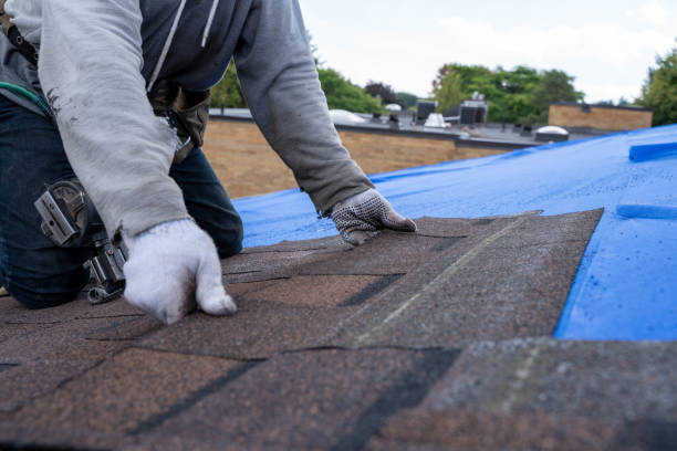 Best Local Roofing Companies  in Vauxhall, NJ